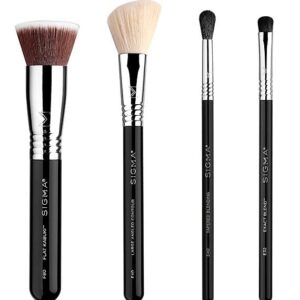 Timeless Beauty 4-piece Holiday Brush Set, Item# BLO16770