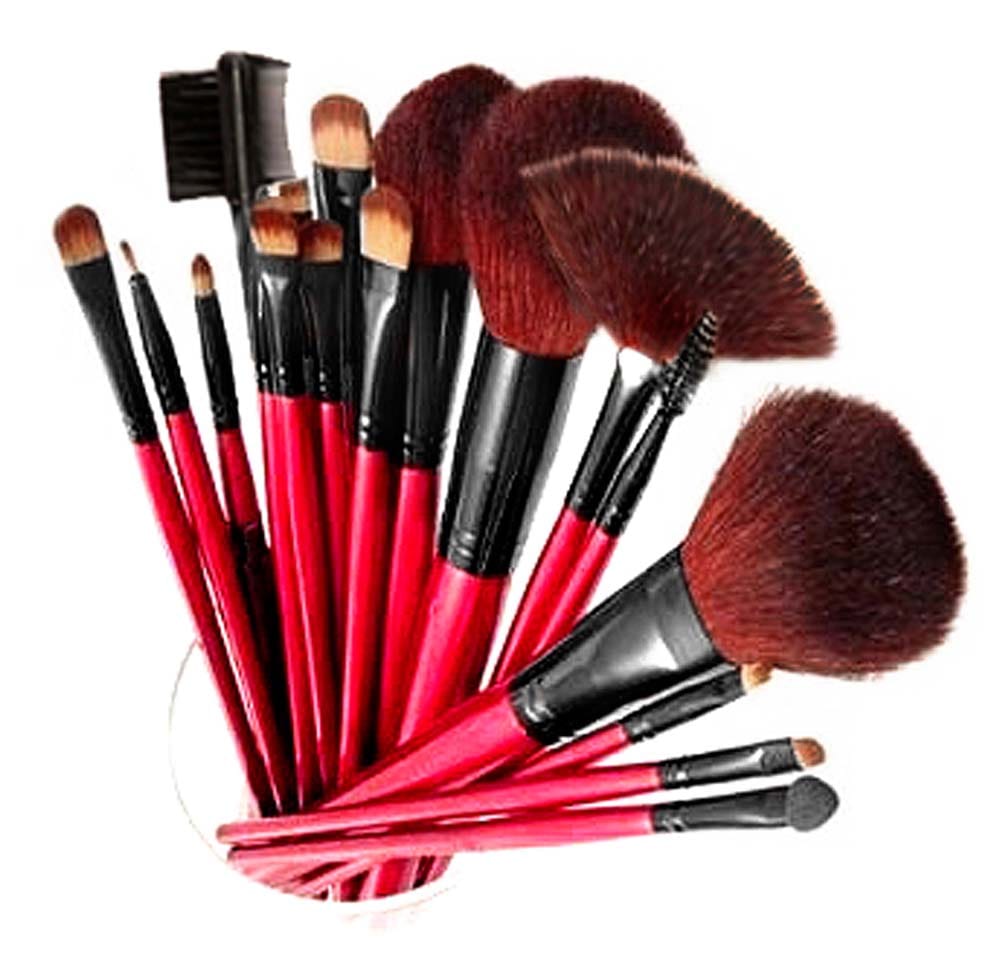 SHANY Professional 12 Piece Cosmetic Brush Set with Pouch, Red, Item# BLO17104